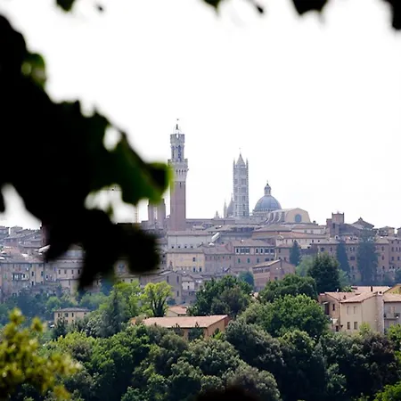 Podere La Strega Landsted Siena