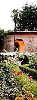 Podere La Strega Landhuis Siena